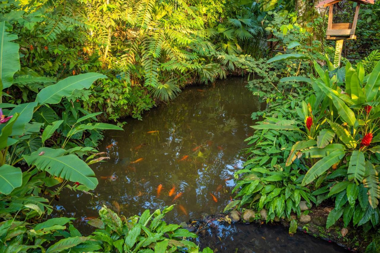 El Jardin Lodge & Spa Puerto Misahuallí Eksteriør bilde